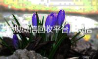 正规微信回收平台（微信回收正规官网）